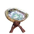 Abalone Shell with Support